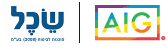 AIG לוגו
